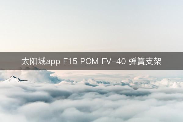 太阳城app F15 POM FV-40 弹簧支架