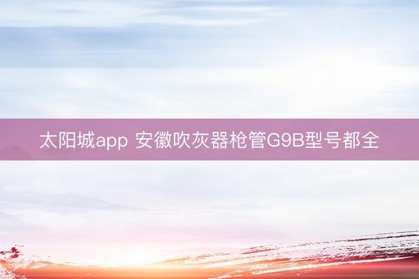 太阳城app 安徽吹灰器枪管G9B型号都全